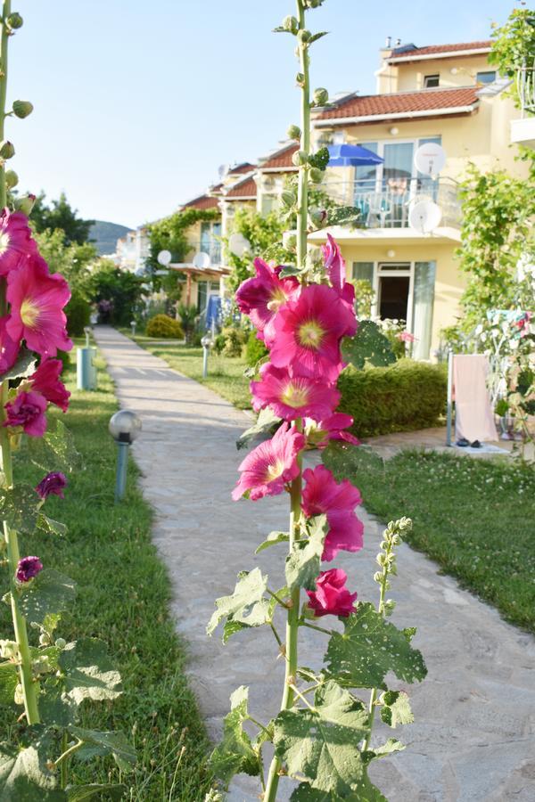Nushev Hotel Sveti Vlas Ngoại thất bức ảnh